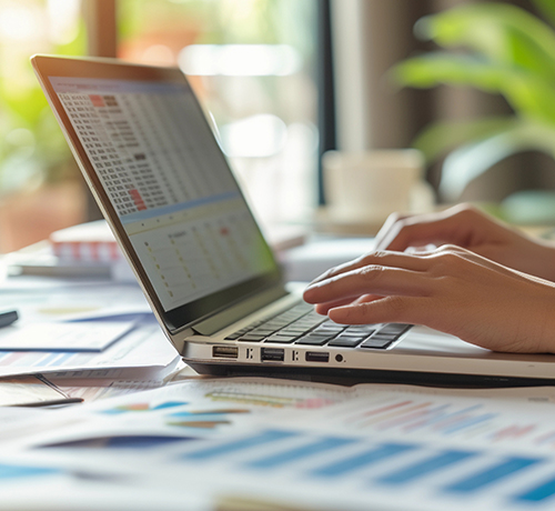 Data Entry - Bee Personal Virtual Assistant